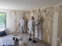 Best Environmental Consulting for Mold Prevention  in Bald Kno, AR